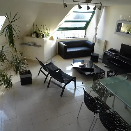 Duplex D'orleans * אמיינס