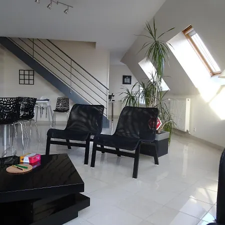 Duplex D'orleans * אמיינס