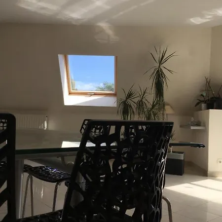 Guest house Duplex D'orleans *